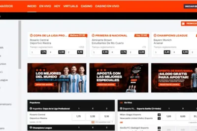 como-verificar-cuenta-betwarrior-argentina